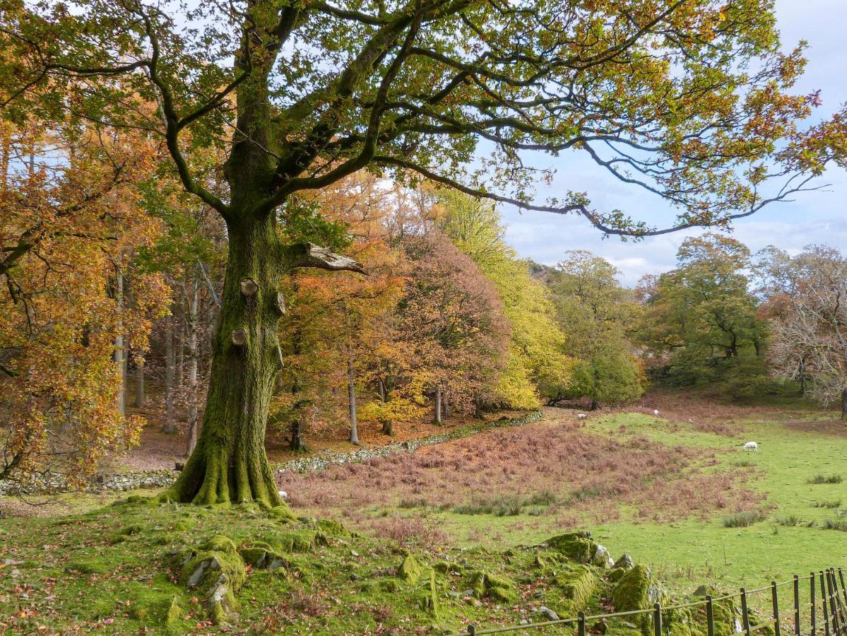 באונס-און-ווינדרמיר Yew - Woodland Cottages מראה חיצוני תמונה